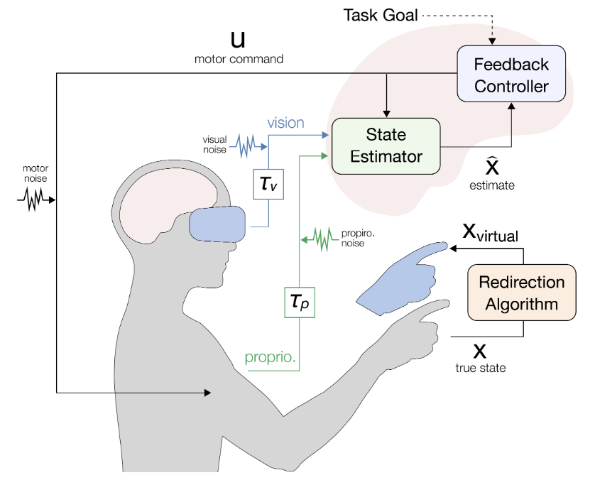 sensorimotor.png